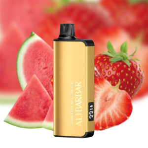 Alibarbar Ingot 9000 Strawberry Watermelon